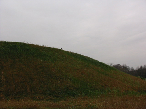 2003 11 hill