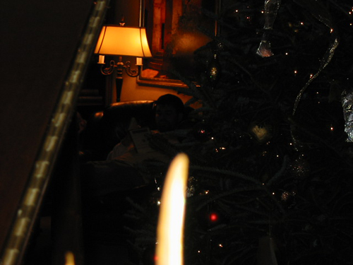 2003 12 Scott reading by tree