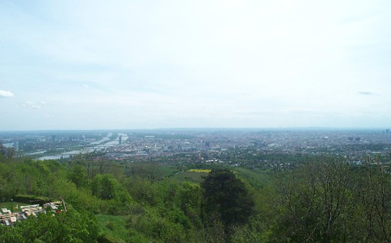 view1